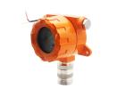 OEM ODM Die Cast Aluminum Fixed H2s Detector With 128*64 LCD