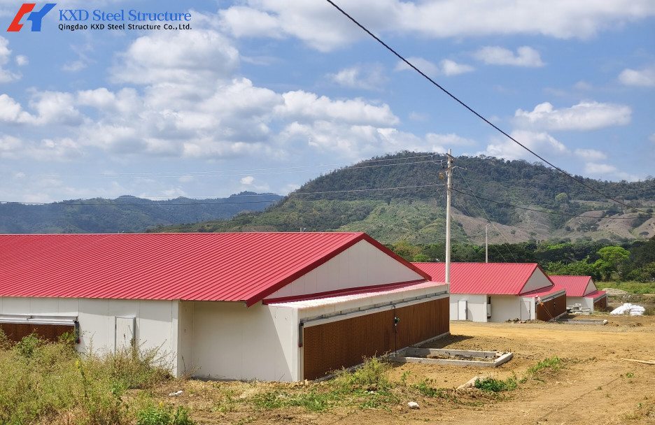 Farming Animal Husbandry Greenhouse Chicken Greenhouse Poultry Breeding Greenhouse For Chicken