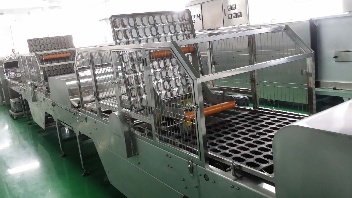 Multiple Sensors Continuous Motion 380V Tray Cleaning Machine
