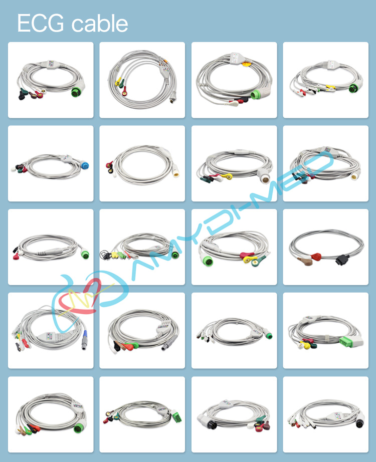Patient ECG Holter Cable DMS 300-3A/4A/4L 19 Pins 10 Lead AHA Snap Holter Lead Wires