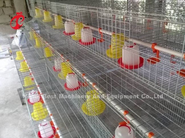 96 Birds A Type 1-12 Weeks Chick Brooder Cage In Chicken Farm Doris