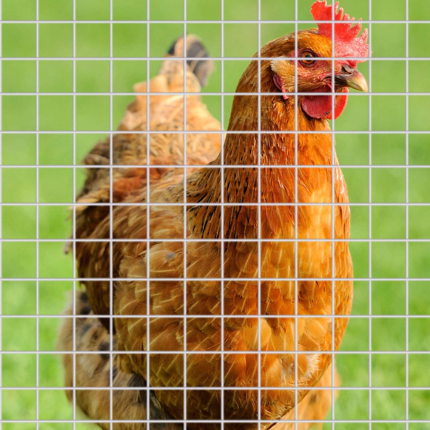 High Quality Welded Wire Mesh beautiful commercial bird cages rabbit cages/cage lapin/rabbit farming equipment
