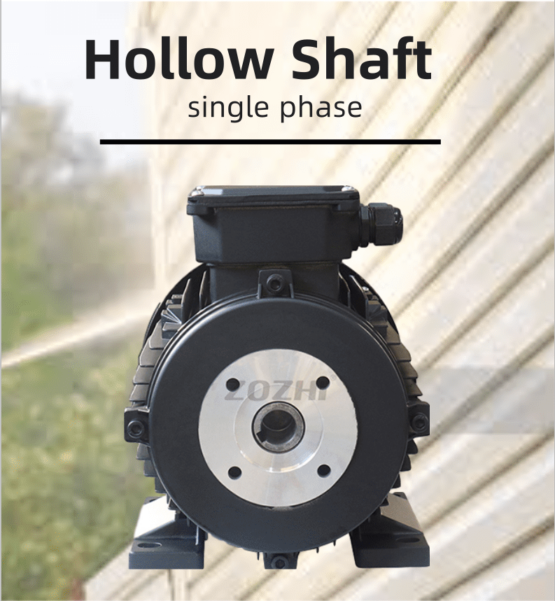 hollow shaft electric motor