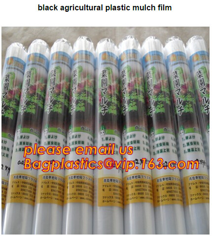Multi-Span Plastic Film Cover Natural Ventilation Vegetable Greenhouse,Greenhouse Kits Plastic Greenhouse 200 micron gre