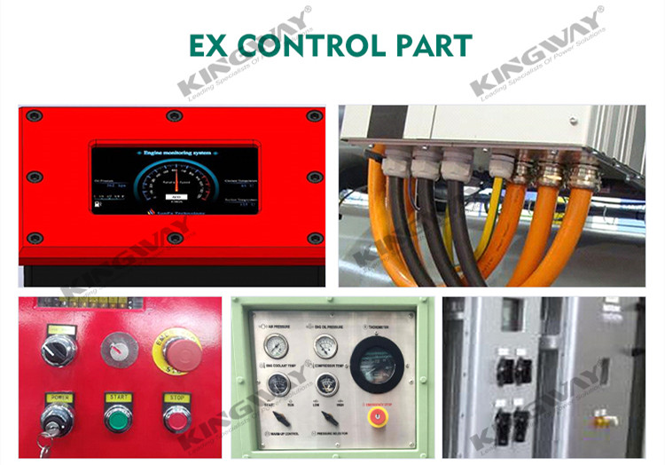 IEC standard Low Temperature Rise Explosion-Proof Motor Alternator Generator Flame proof Three-Phase 50KW 1500KW Ex Generator