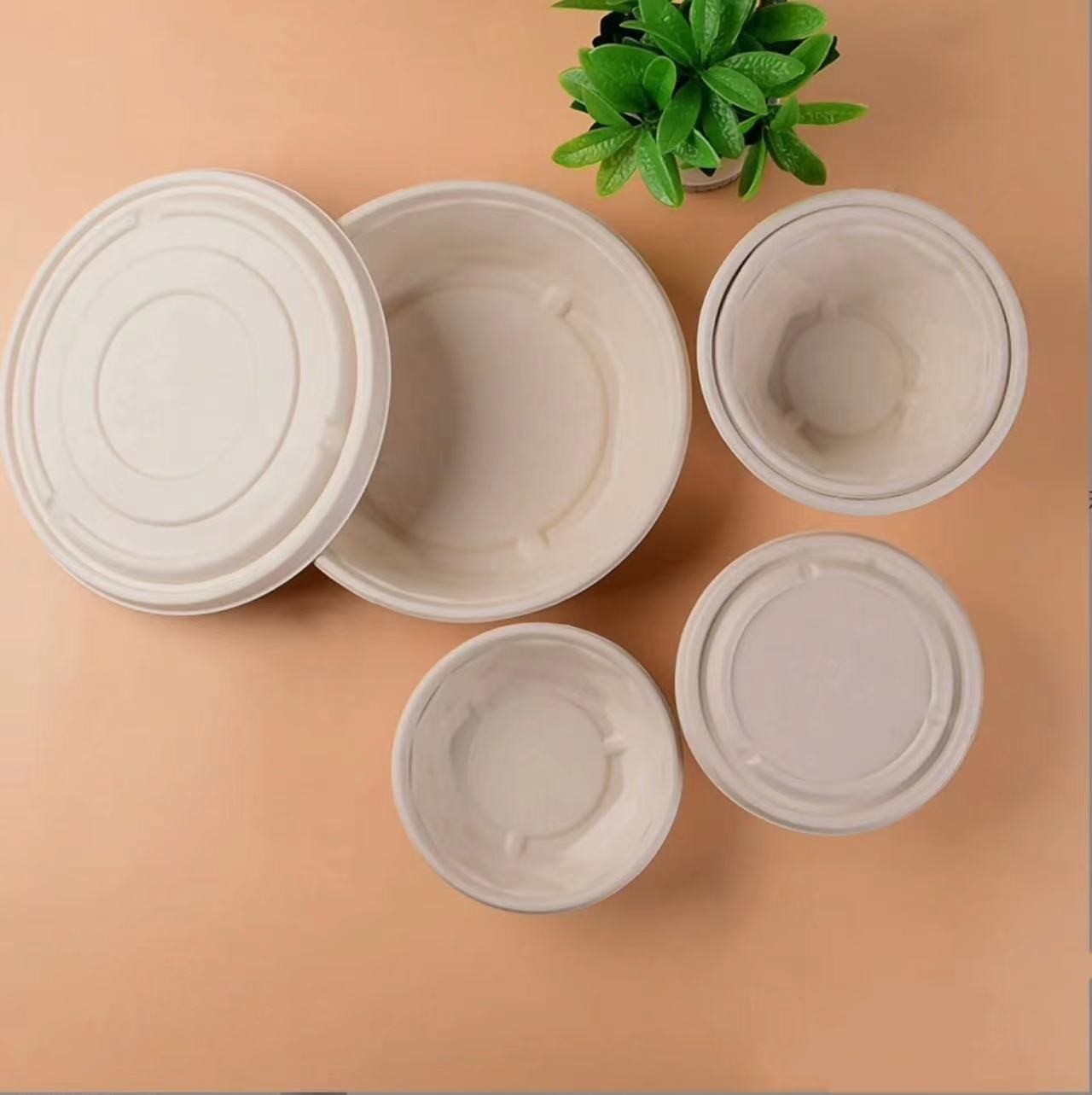 Eco-Friendly Paper Food Containers，Biodegradable Food Packaging Bags，custom food packaging boxes