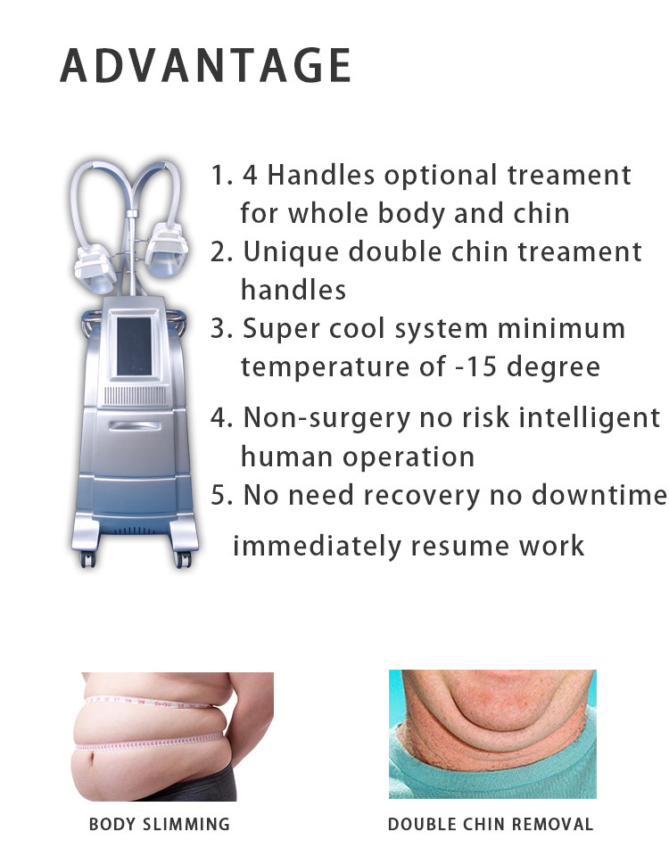 Professional cryo fat beauty machine fatest slimming weight loss cryo equipment LF-207B