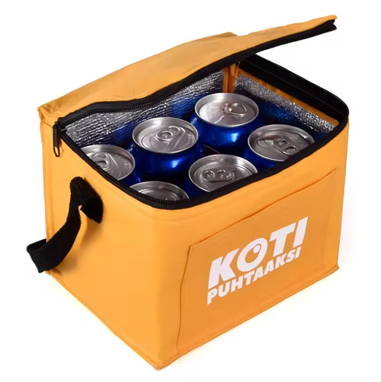 Thermal Insulated Carry On Picnic Cooler Bag Waterproof Zipper Closure