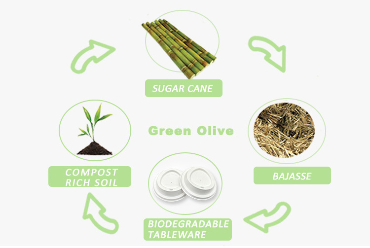 100% Biodegradable Compostable Natural Sugarcane Pulp Flat Swivel Round Boba Lid Cup Cold Cup Lids