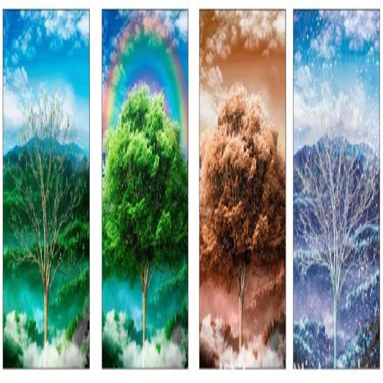PLASTIC LENTICULAR hot sales 3d 5d Lenticular Pictures 3d PET printing Package