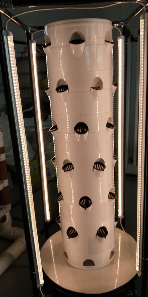 Hydroponic System Aerpetta Strawberry And Leaf Vegetable Rotation With Lights