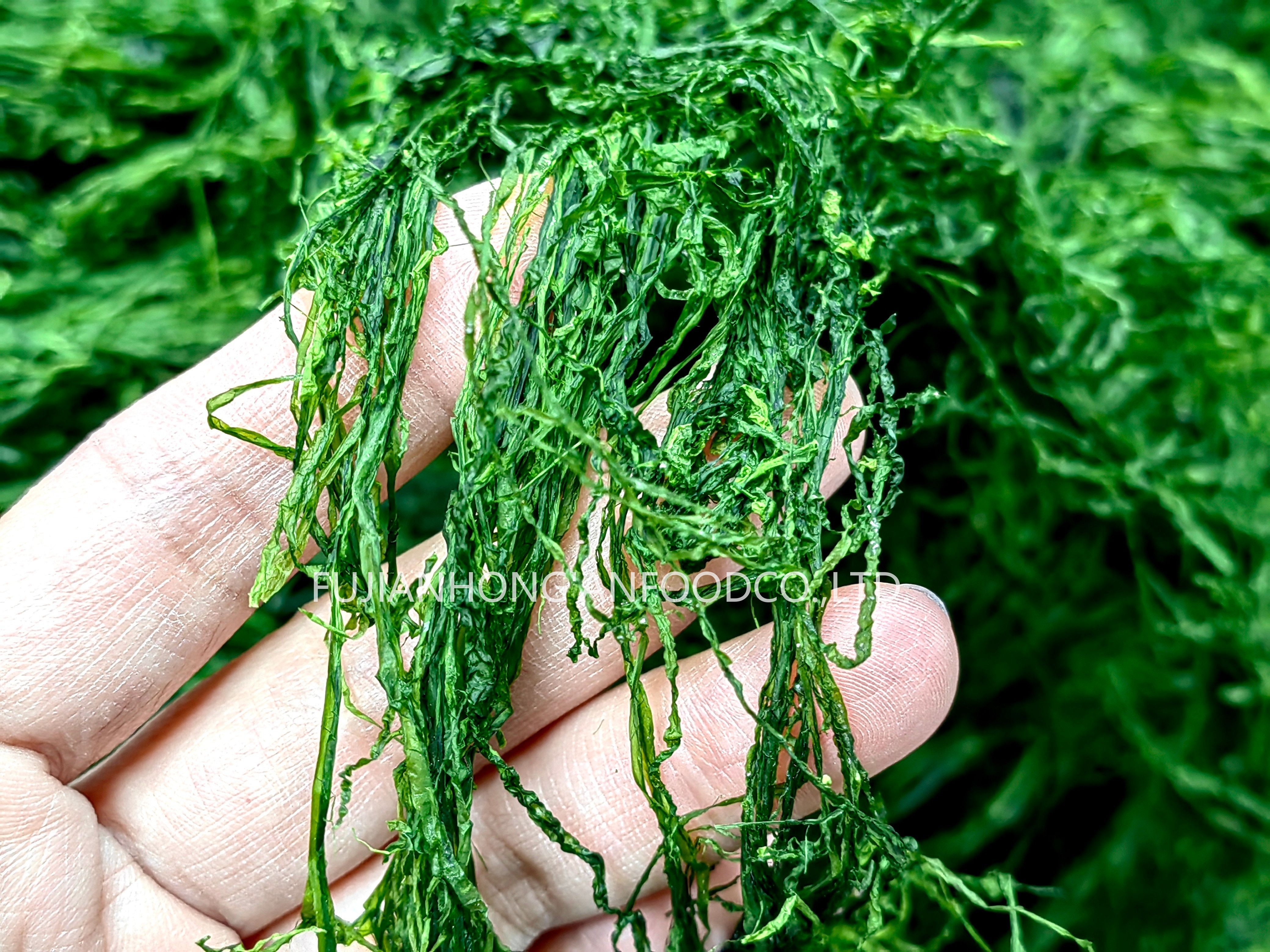 200g Malachite Prolifera Seaweed Powder As Seaweed Salad Dressing