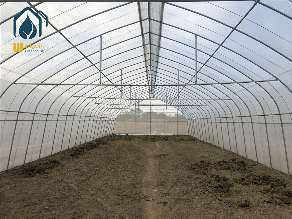 Commercial Large Agricultural Greenhouse UV Film Vegetable Hydroponic Greenhouse