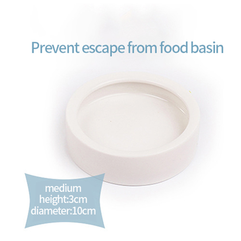 Pet Bowl Prevents Bread Worms Setting Escaping Lizard Ceramic Water Food Dish Reptile