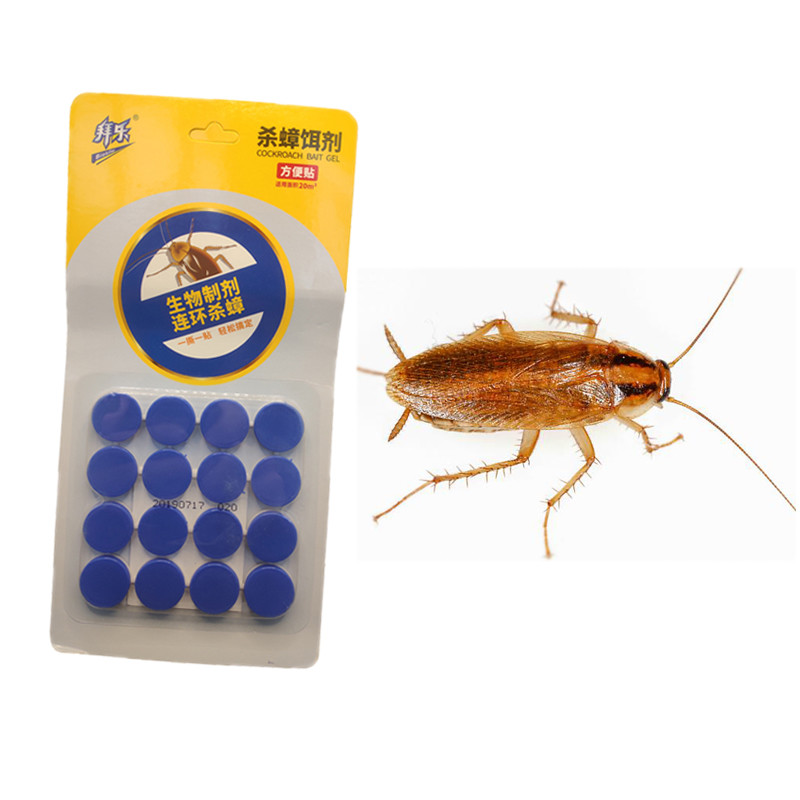 Professional Quick Force Kitchen Cockroach Killer Gel 5g 10g 20g 50g