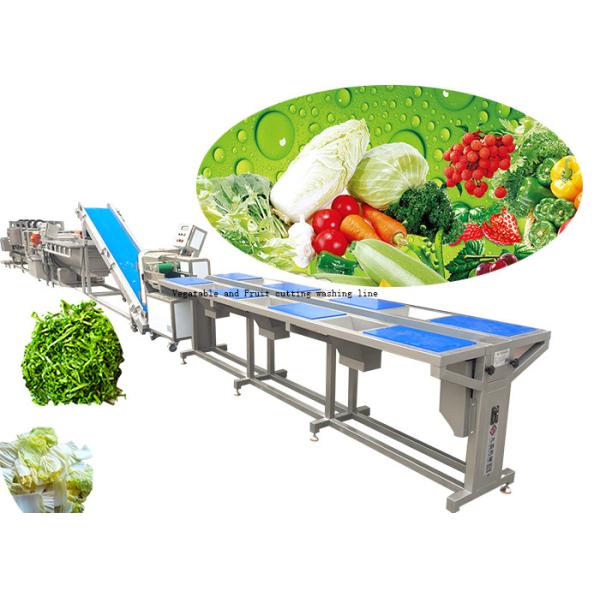China Customized Vegetable Processing Equipment / Fruit And Vegetable Washer Machine on sale China Customized Vegetable Processing Equipment / Fruit And Vegetable Washer Machine on sale
