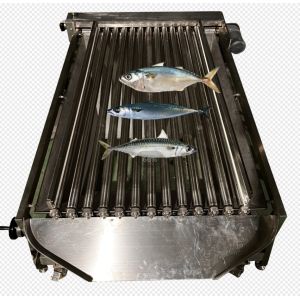 Most Styles Automatic Fish Grading Machine And Sizing Fish With High Stable