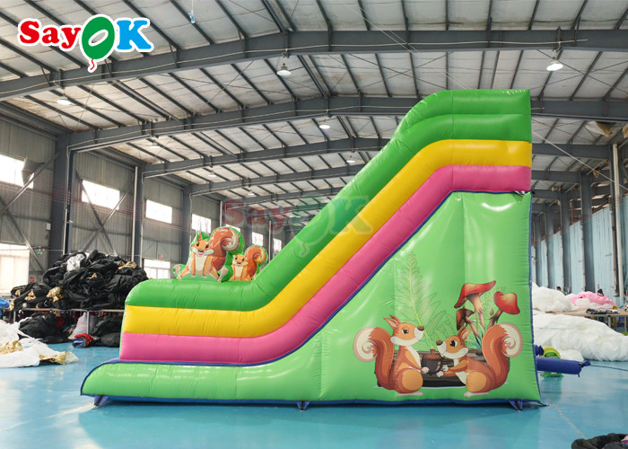 Commercial Grade Inflatable Water Slide Custom Rainbow Inflatable Slide