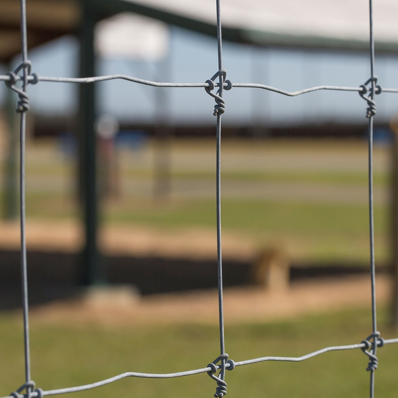 Deer Fixed Knot Fence 1.2m Hinge Joint Cattle Wire Mesh Field Fence