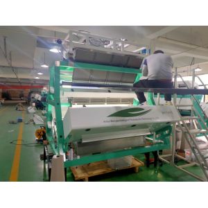 WENYAO Tea Sorting Machine High Capacity With LED CCD Sensor