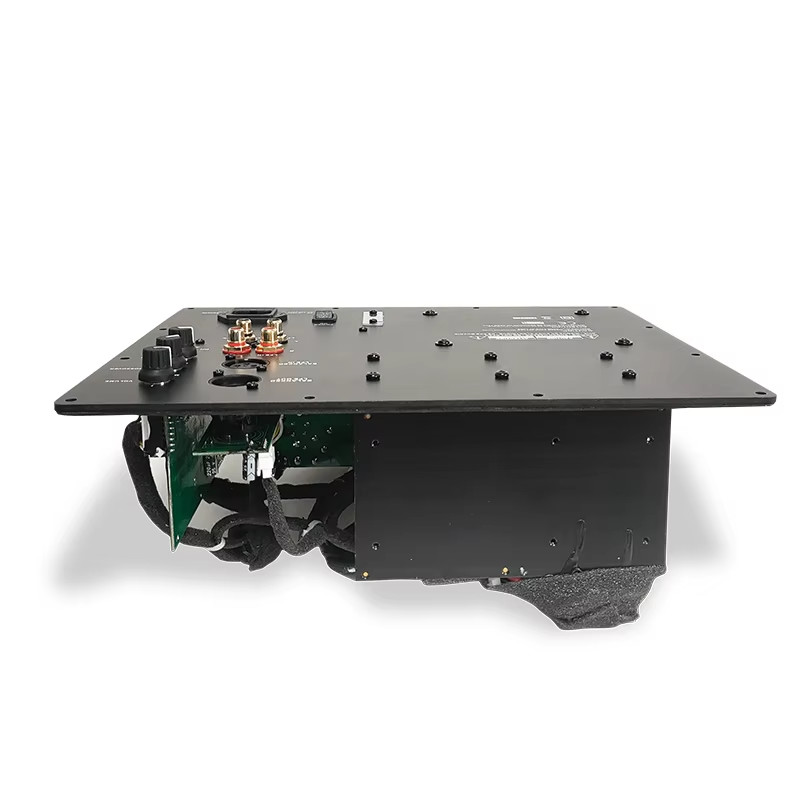 1000W Amplifier For subwoofer Speaker Class D Low Pass Super Bass Plate Amplifier