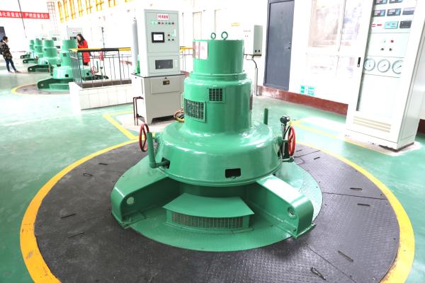 Stainless Steel Kaplan Hydro Turbine Generator 100-20MW Permanent Magnet