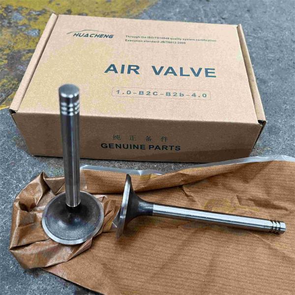 12159606 12159608 Intake Valve Exhaust Valve Deutz TD226B-3D Weichai Engine