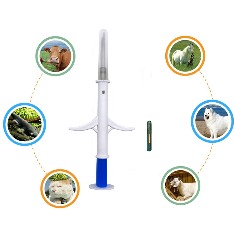 EM4305 2.12*12mm Animal Identification Electronic Tag Rfid Syringe