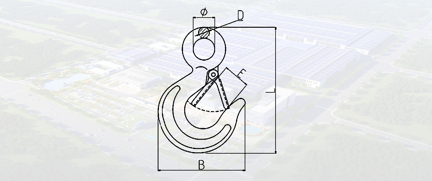 SLR291-SPECIAL EYE HOIST HOOK