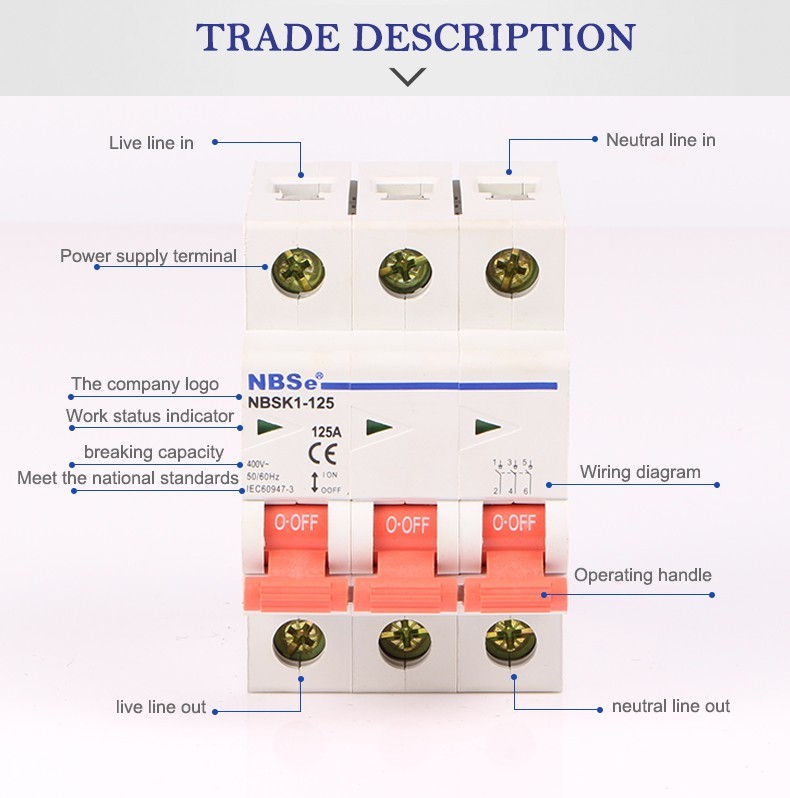 100 Amp 2 Pole Power Isolator On Off Switch Din Rail Mounting