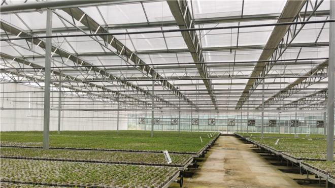 Multi-Span Film Greenhouse Roll Up Motor with 60N/M Torque in Red Blue and Yellow