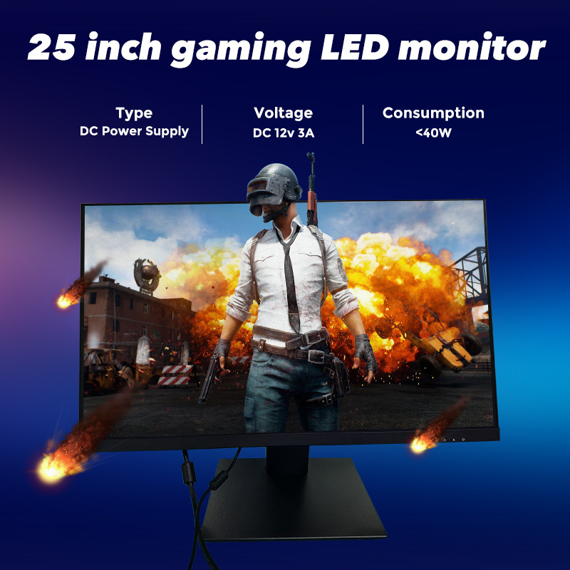 25 Inch 1080p 240hz 1MS LED Gaming Desktop Monitor Free Sync DP HDMI Input