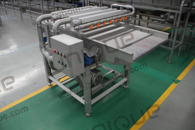 Palm Dates Washing Machine for Industrial Syrup Production in Customized Voltage