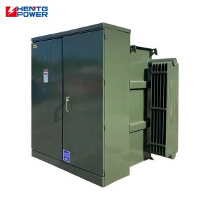 Compact 110kV Oil Immersed Transformer with IP00 to IP65 Protection and Copper