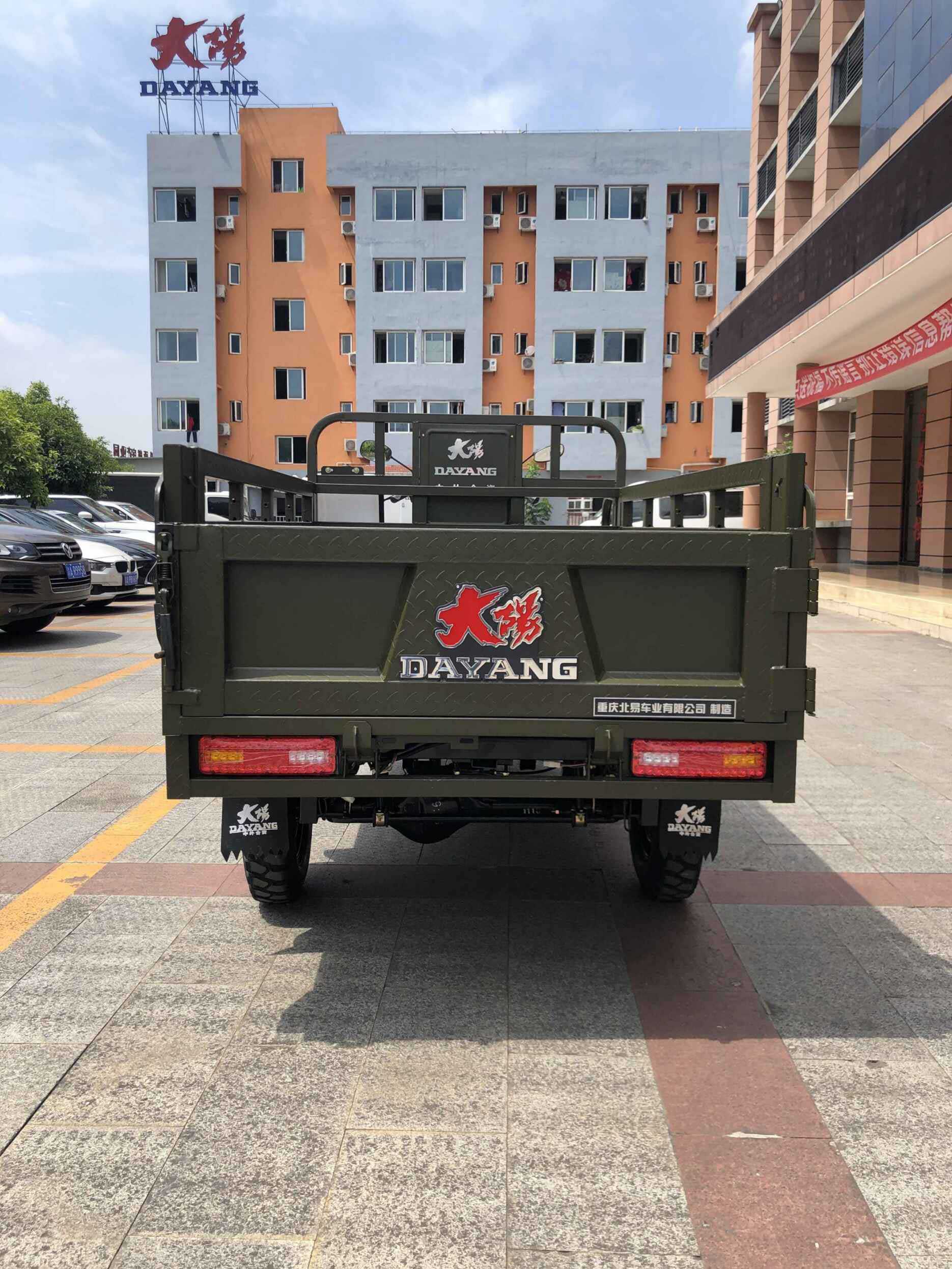 DAYANG 5.0-12 Tire Size Motorized Tricycle for Food Delivery in Tanzania Market
