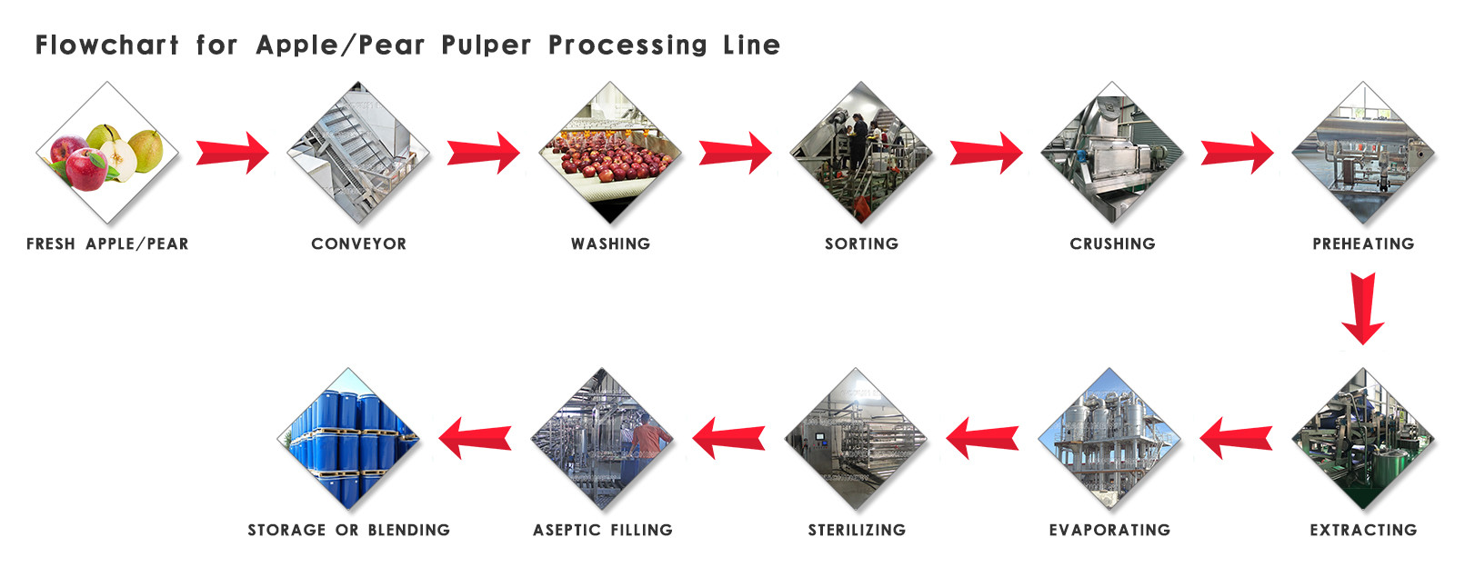 Professional Fruit Processing Line Apple And Pear Juice Production Machine
