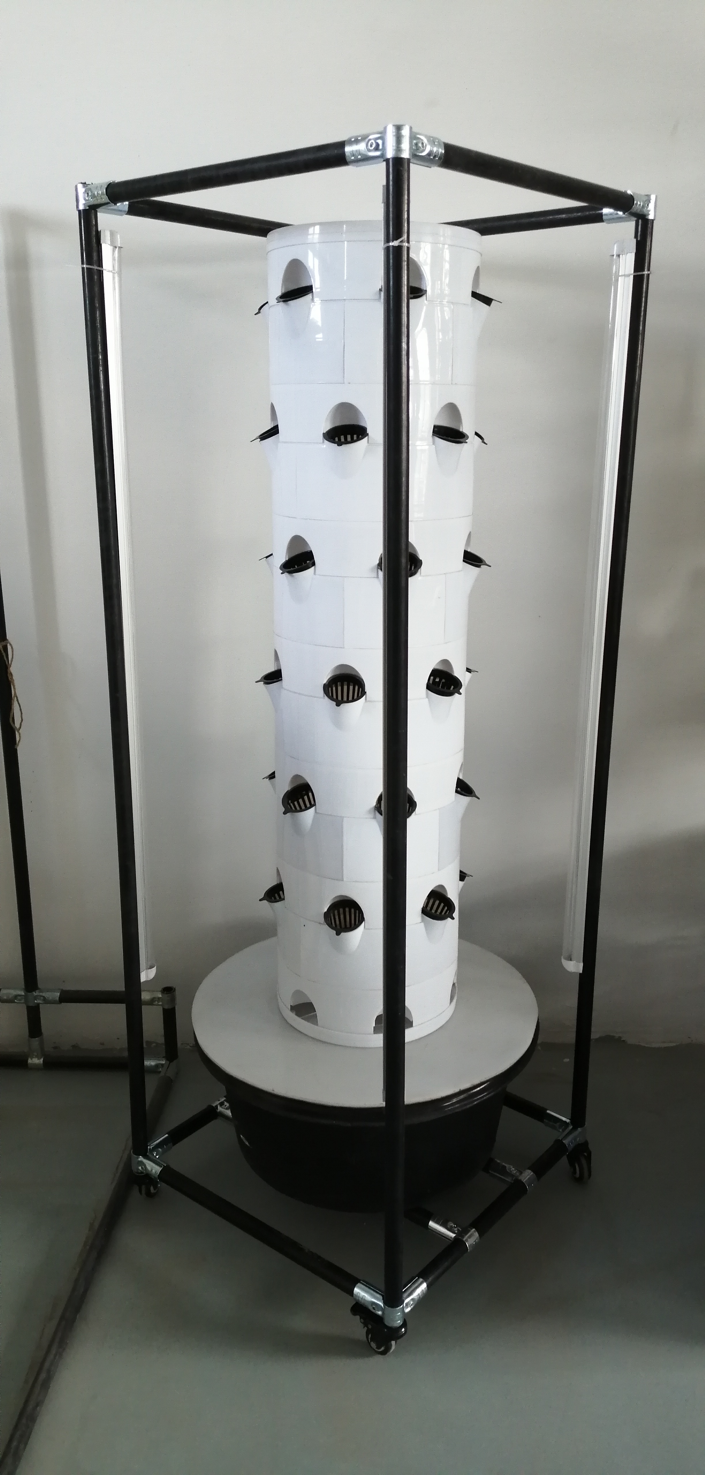 Vertical Hydroponic Cultivation System For Vegetables And Strawberries With Shelf