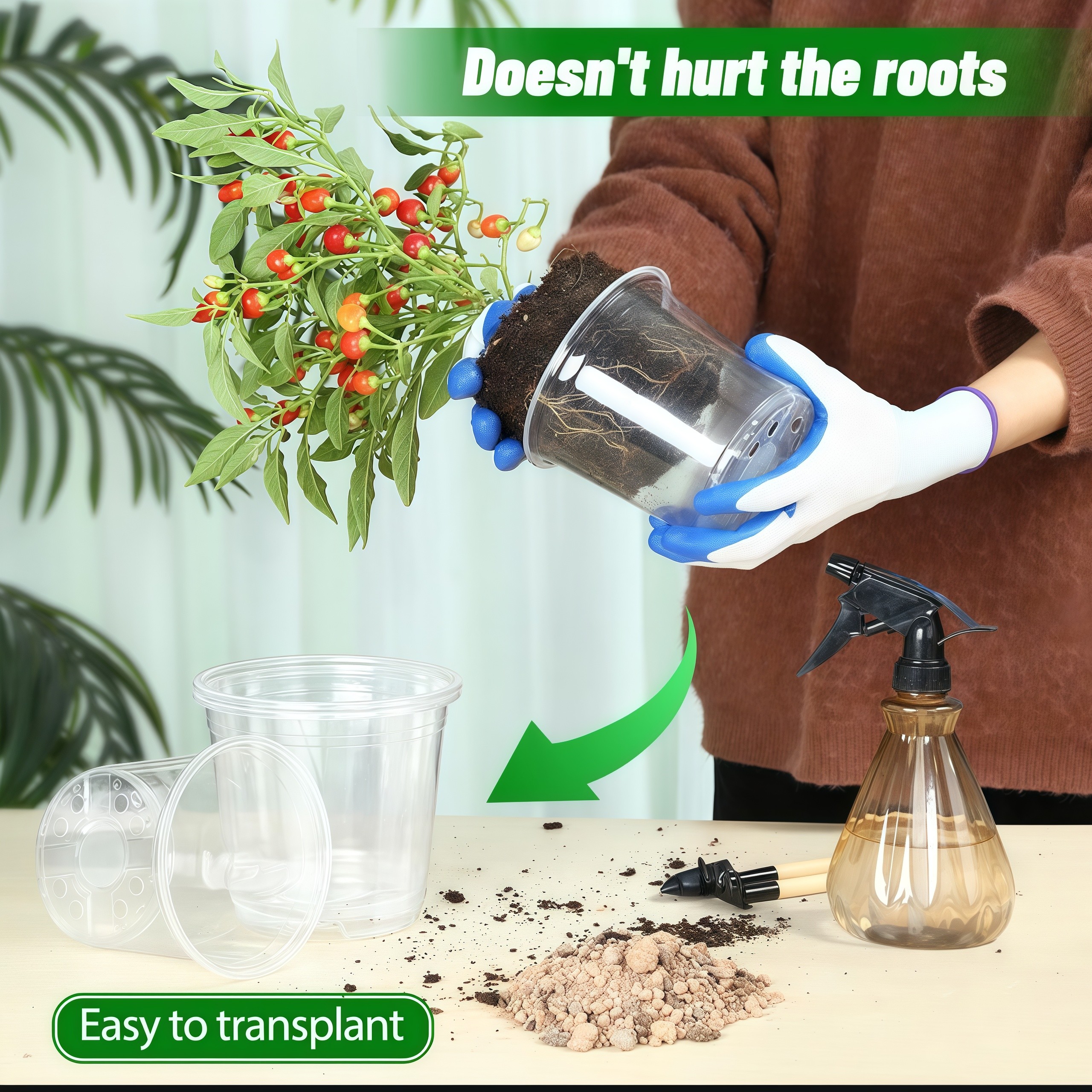 Transparent orchid pot