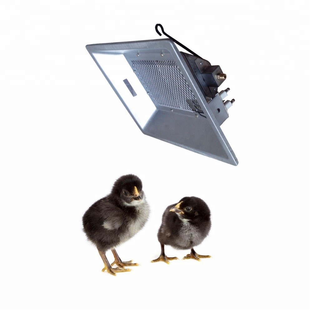 THD Farming LPG Natural Gas Heater Brooder Equipment Chicks Infrared For Chicken