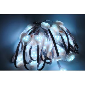  Miracle Bean 0.8W 12V IP65 30MM LED Pixel string Manufactures