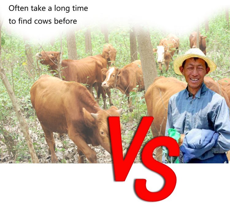 Solar Powered GPS Real Time Wireless Cattle Tracker Anti - Remove Alarm
