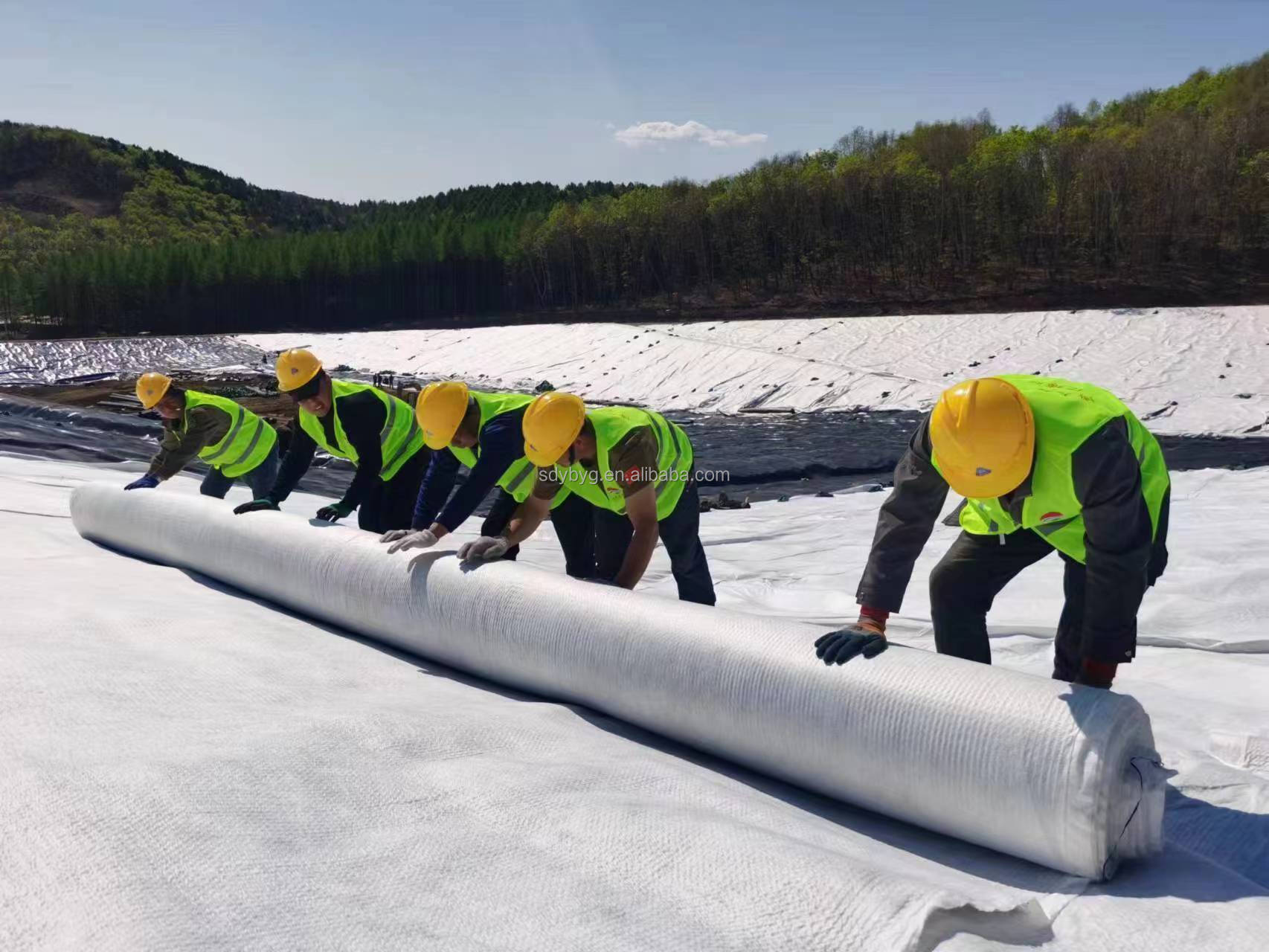 HDPE Greening System 3D Composite Drainage Geonet for Railways Highways
