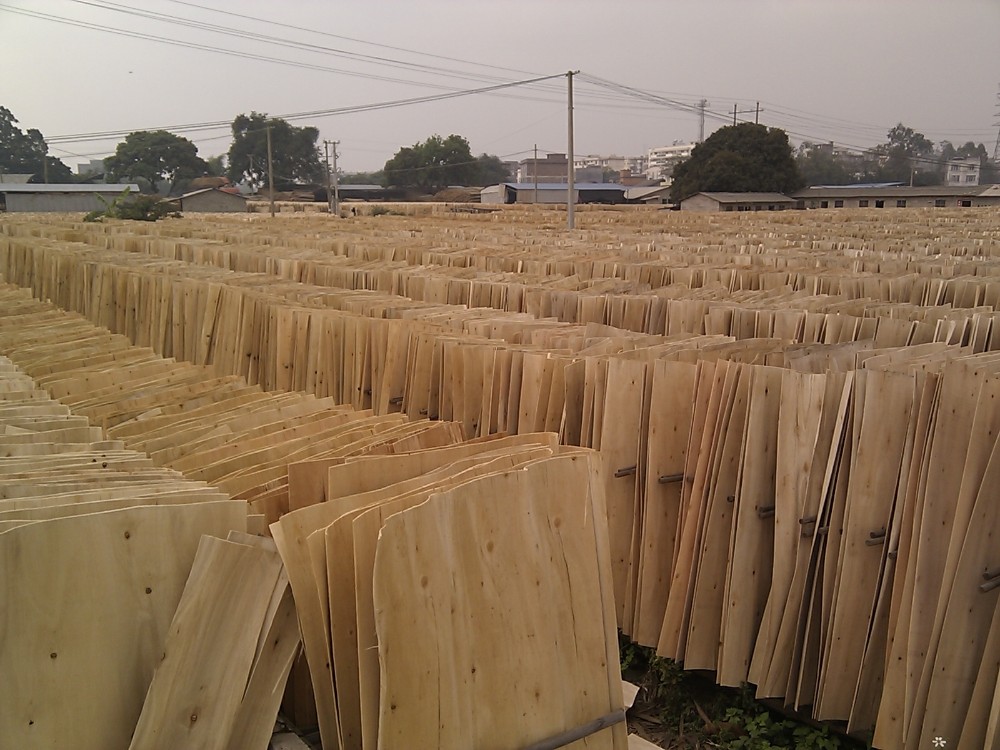 High Abrasion Resistance Building 21mm Phenolic Faced Plywood