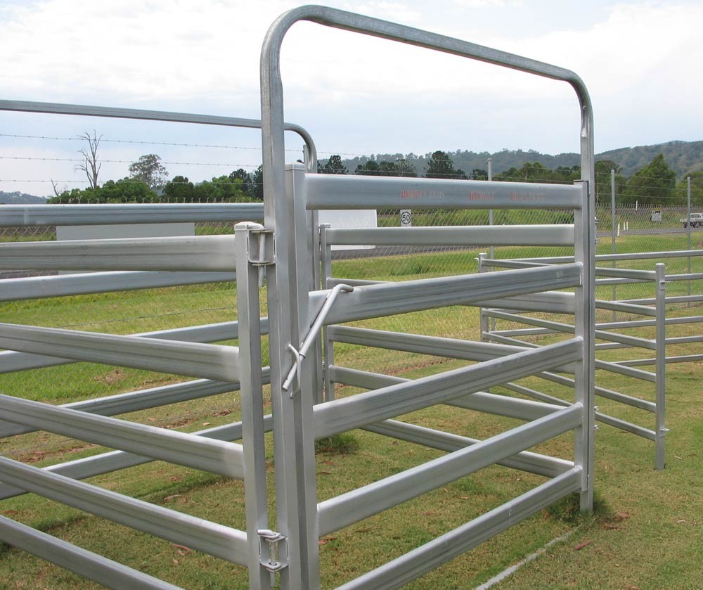 Galvanized cattle panel
