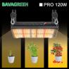 Buy cheap 3000K 5000K LM301B Quantum Board 120W Samsung Indoor Garden Led Grow Lights from wholesalers