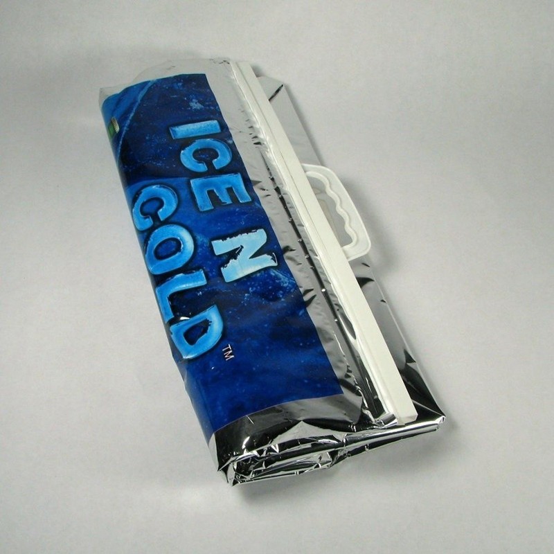 Large Ice Cream Travel VMPET Collapsible Cooler Bag Insulated Portable