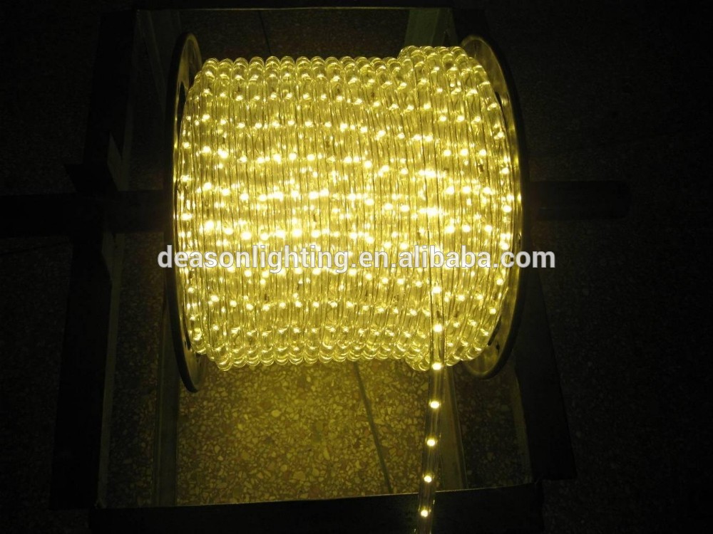 110V /220V led rope light