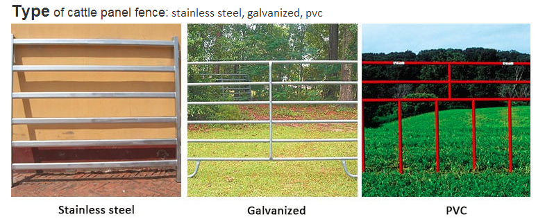 Australia standard galvanized cattle panel fence Cattle Crush,Cattle Chute