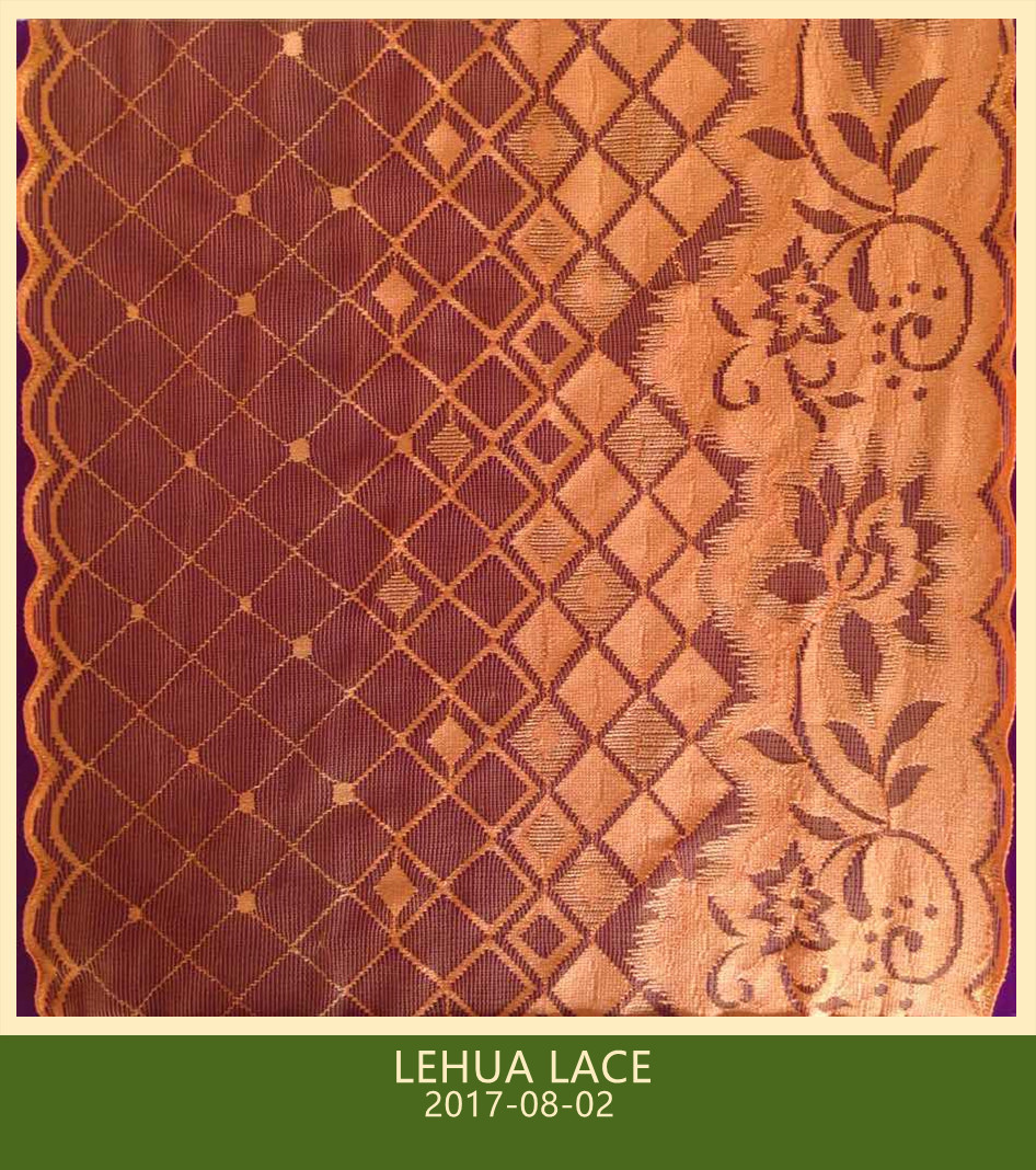 Hot Selling and nice quality Nylon Spandex Stretchy Brazil Lace from China