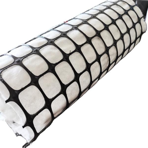 PP Plastic Geogrid Composite Pet Nonwoven Geotextile for Bridge and Tunnel
